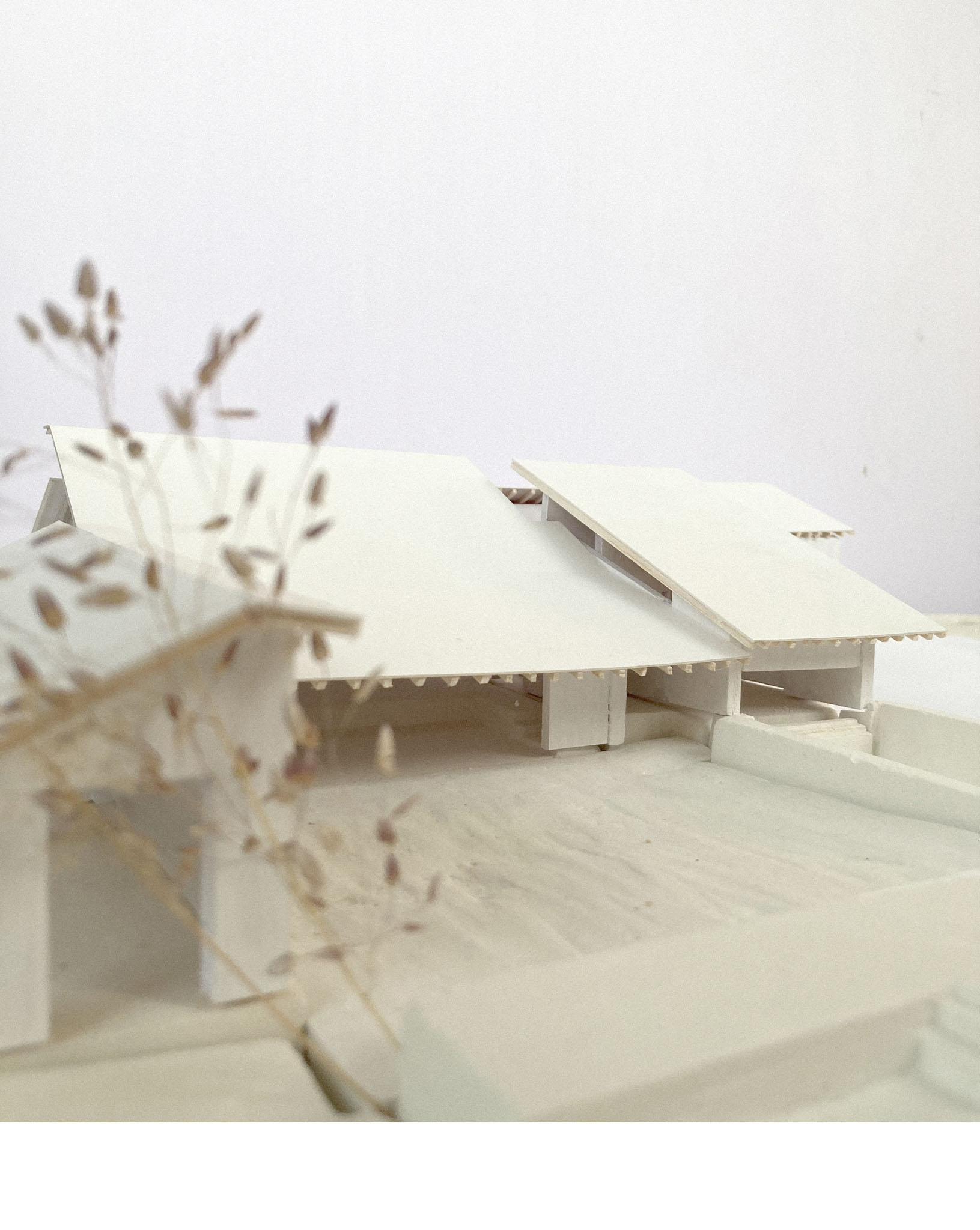 field-atelier-architects-in-goa-chorao-003