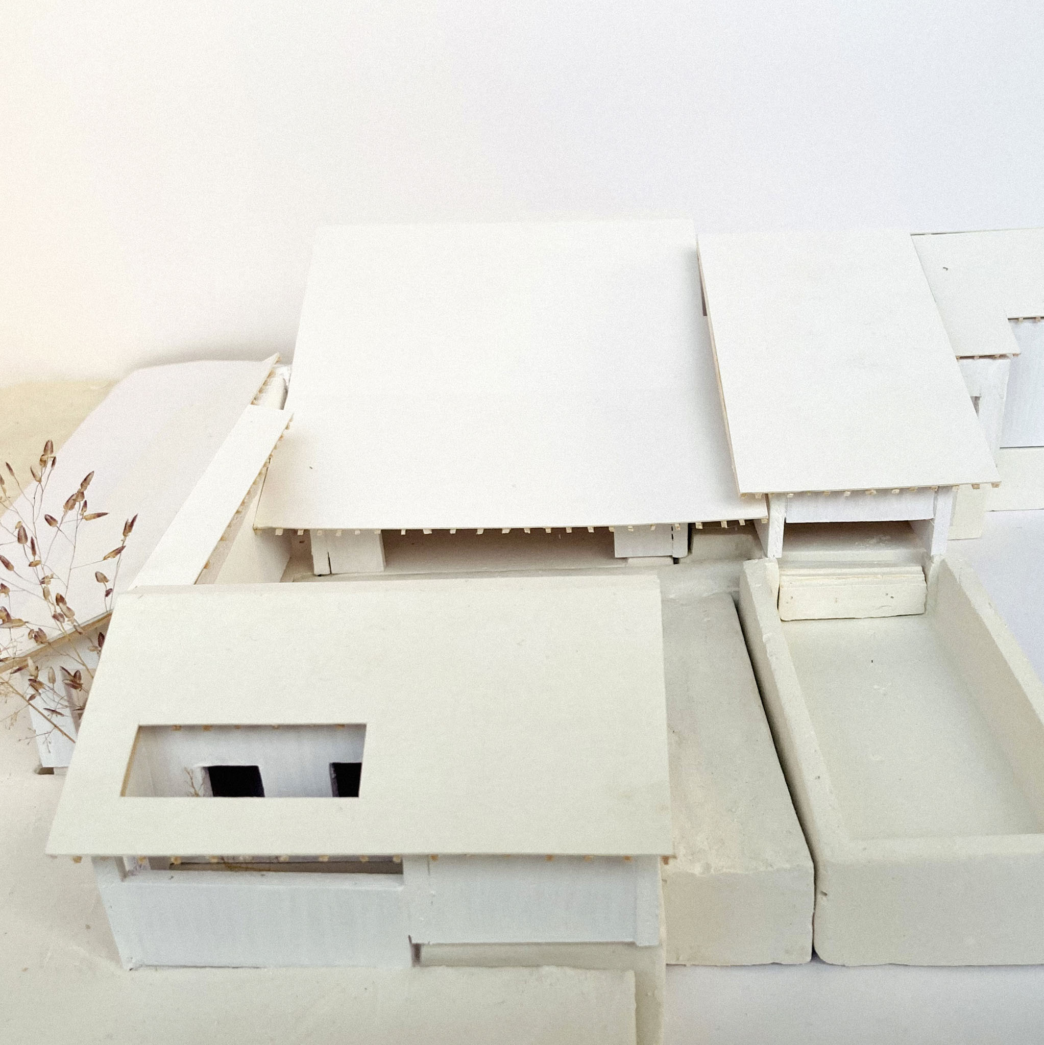 field-atelier-architects-in-goa-chorao-002