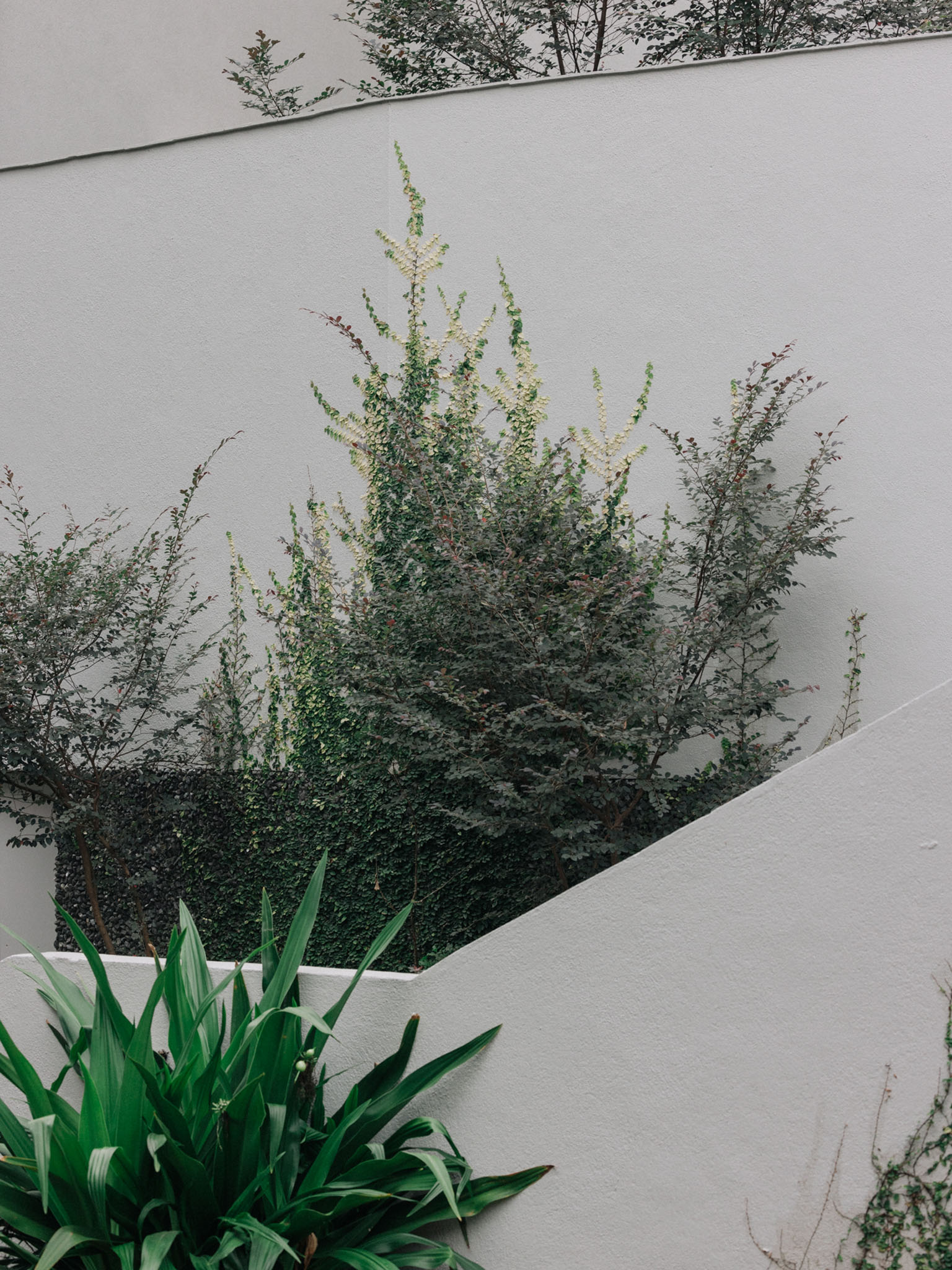 field-atelier-architects-in-goa-salvador-do-mundo-015